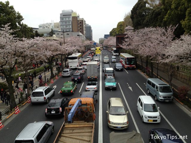 The street was a traffic jam because many visitors crossed the road at an intersection ahead. Many buses carried visitors here.