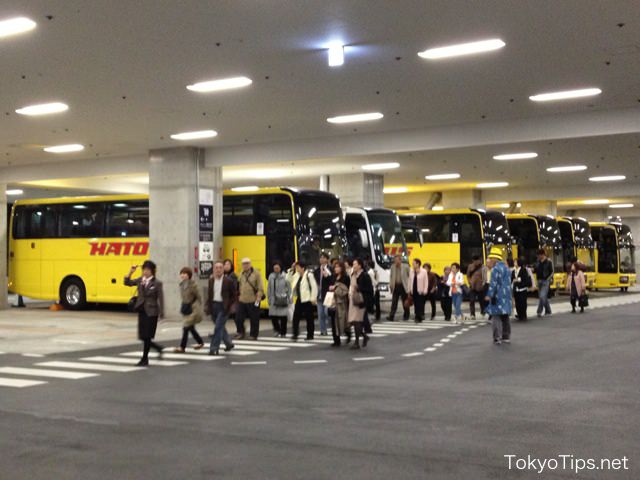 Many sightseeing bus tour group came though strong wind.