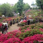 It was a small rainy day. But many people enjoyed azaleas.