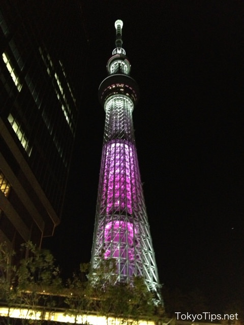 舞 (Mai) means a dance. The tower is pink overall.