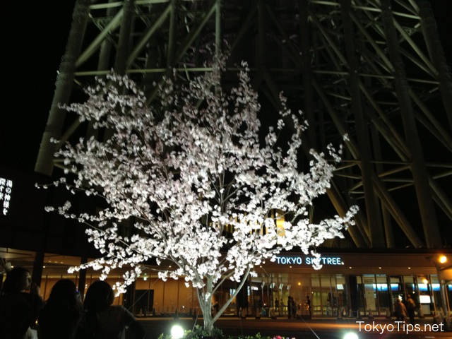 There is an illuminated imitation cherry tree at the bottom of the tower.