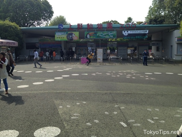 Next door is Ueno Zoo.